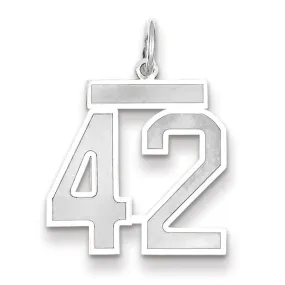 14k White Gold Satin Brush Finish Medium Size Number 42 Charm Pendant