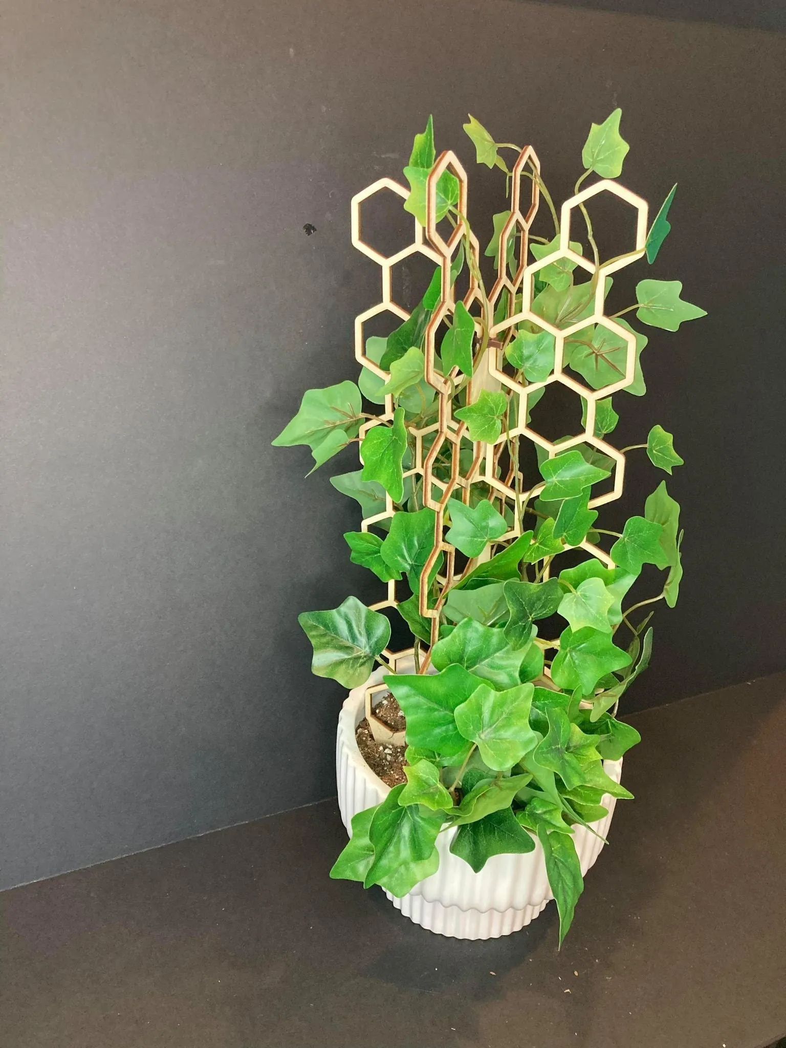 3D Plant Trellis | FAST SHIPPING | Honeycomb Houseplant Trellis | Indoor Garden Trellis | Plant Lover Gift | Insured Shipping