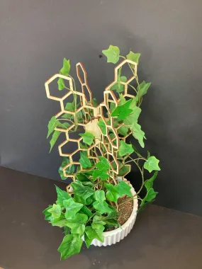 3D Plant Trellis | FAST SHIPPING | Honeycomb Houseplant Trellis | Indoor Garden Trellis | Plant Lover Gift | Insured Shipping