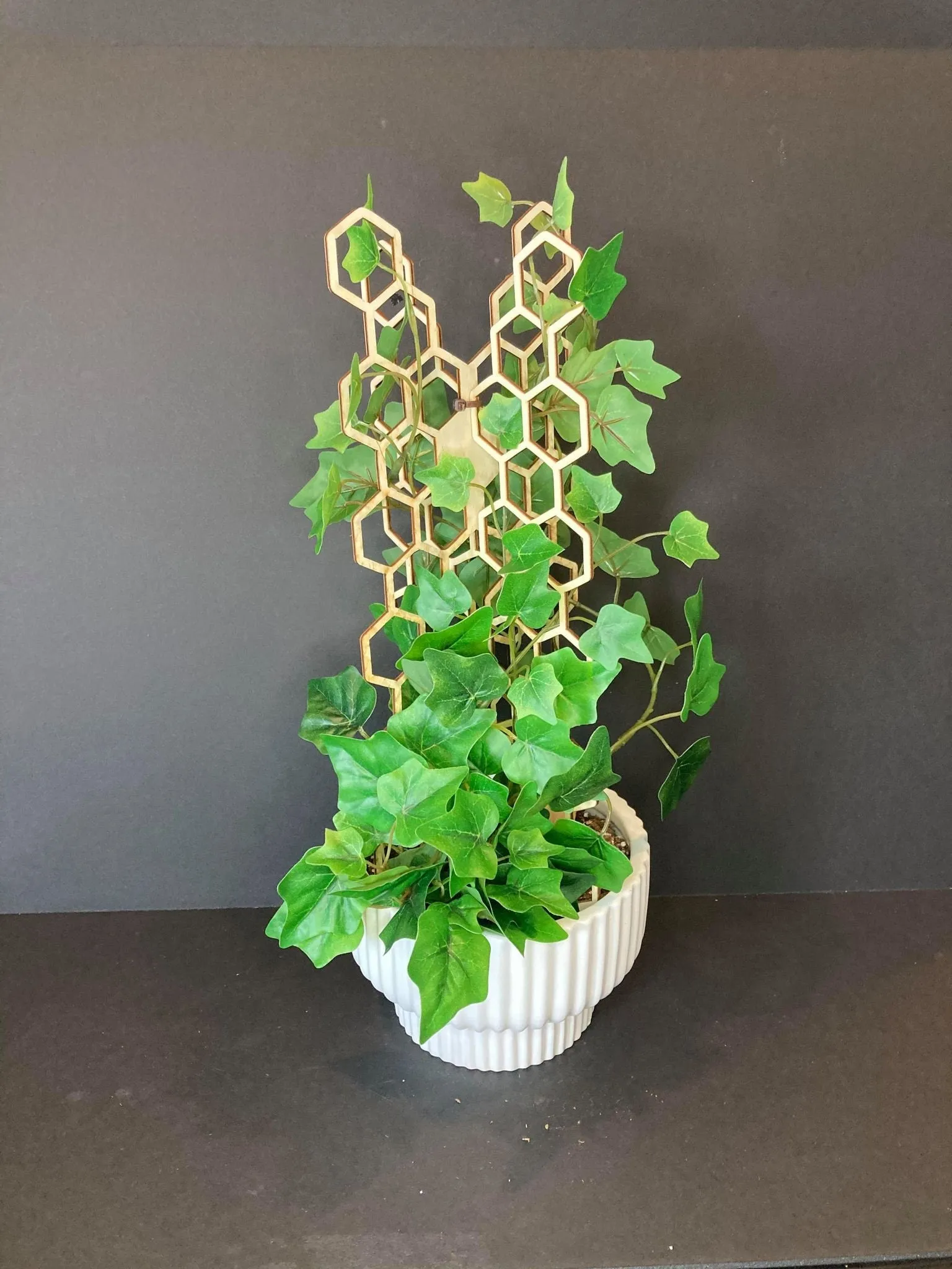 3D Plant Trellis | FAST SHIPPING | Honeycomb Houseplant Trellis | Indoor Garden Trellis | Plant Lover Gift | Insured Shipping