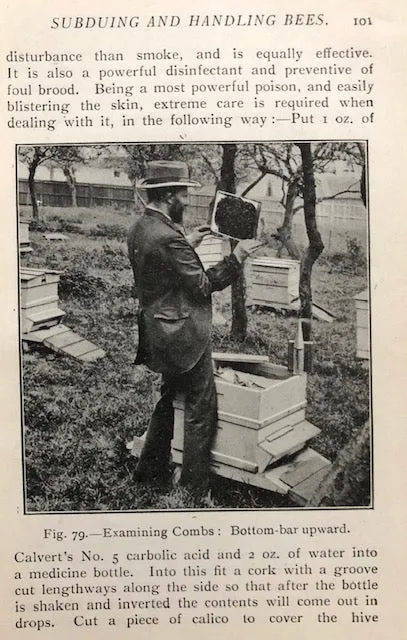 (Beekeeping) Cowan, T.W.  British Bee-Keeper's Guide Book to the Management of Bees in Movable-comb Hives, and the Use of Modern Bee-Appliances.