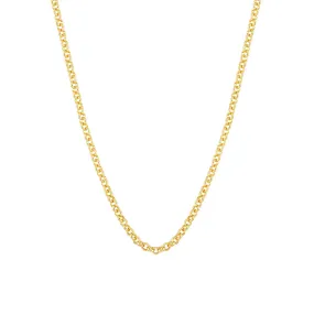 Gold Rolo Chain