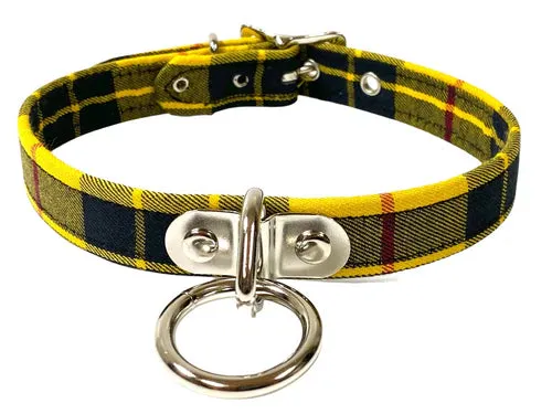 Yellow Plaid Collar w/ Silver O Ring Detail